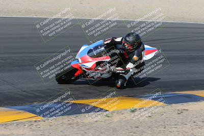 media/Feb-04-2023-SoCal Trackdays (Sat) [[8a776bf2c3]]/Turn 6 Inside (1025am)/